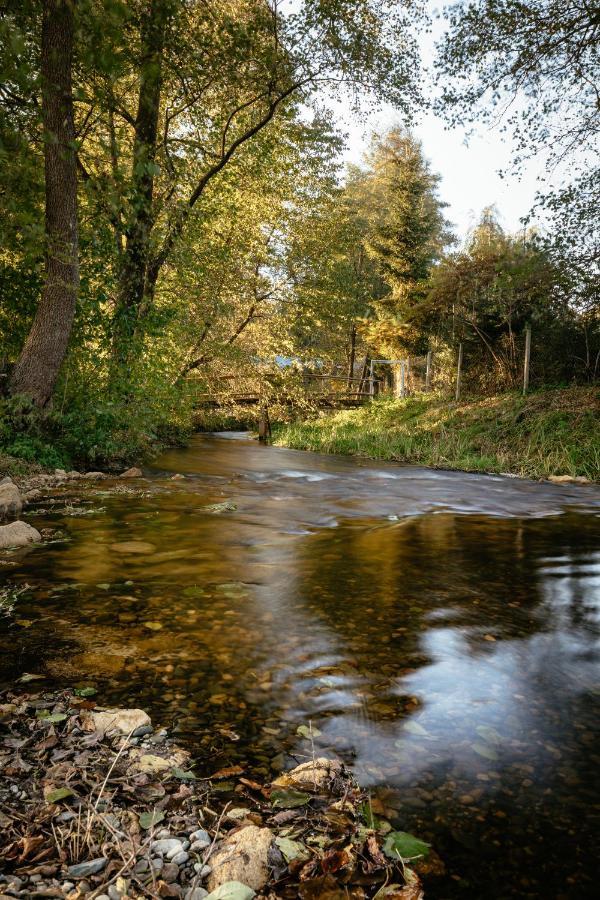 Wypoczynek U Piotra Villa Susiec Екстериор снимка